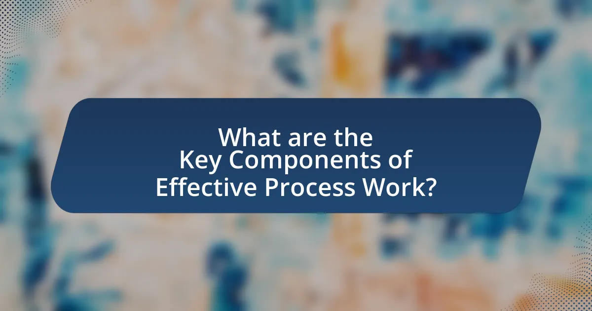 What are the Key Components of Effective Process Work?